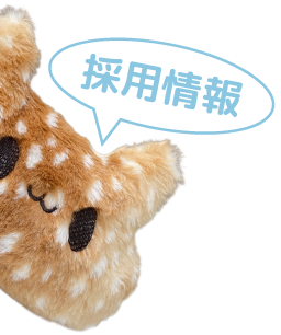 採用情報